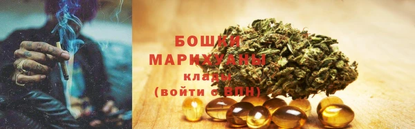 молекула духа Сосновый Бор