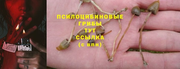 мдма Сосновка