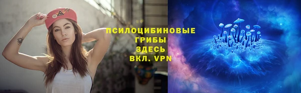 индика Струнино