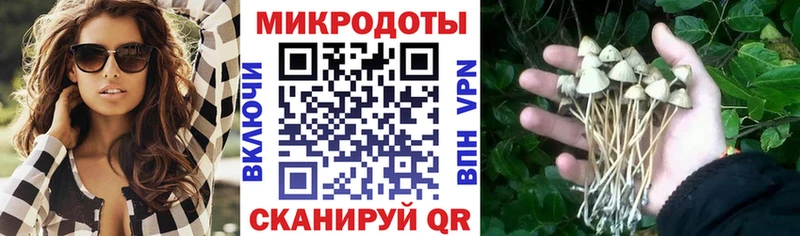 Купить закладки  Углич  Галлюциногенные грибы Psilocybe